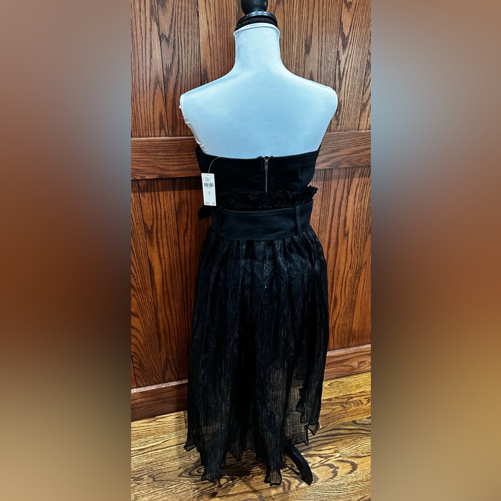 Anthropologie Pilcro Strapless Bodysuit and Sheer Skirt - Picture 7 of 9